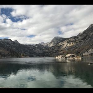 Meet your Posher, Lily